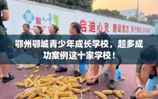 鄂州鄂城青少年成长学校，超多成功案例这十家学校！