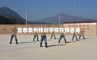 宜春袁州特训学校在线咨询