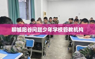 聊城阳谷问题少年学校管教机构