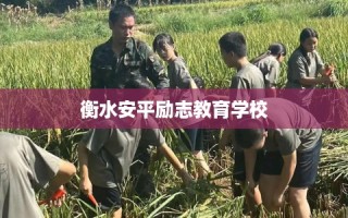 衡水安平励志教育学校