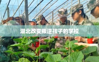 湖北改变叛逆孩子的学校