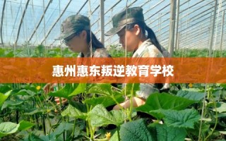 惠州惠东叛逆教育学校