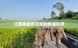 江西哪里有正规的特训学校