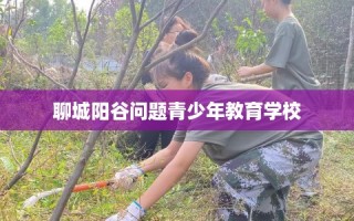 聊城阳谷问题青少年教育学校