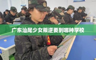 广东汕尾少女叛逆要到哪种学校