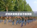 泸州改变叛逆孩子的学校