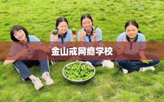 金山戒网瘾学校