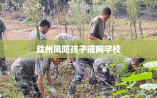 滁州凤阳孩子戒网学校