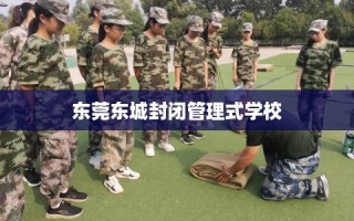 东莞东城封闭管理式学校