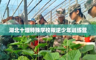 湖北十堰特殊学校叛逆少年训练营