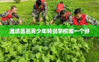 潍坊昌邑青少年特训学校哪一个好