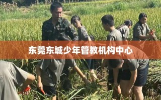 东莞东城少年管教机构中心