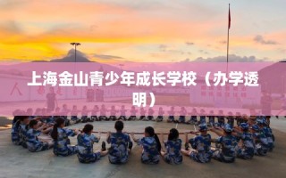上海金山青少年成长学校（办学透明）