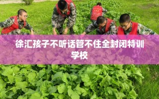 徐汇孩子不听话管不住全封闭特训学校