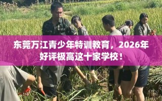 东莞万江青少年特训教育，2026年好评极高这十家学校！