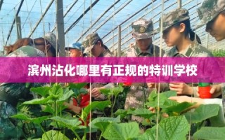 滨州沾化哪里有正规的特训学校