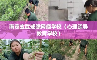南京玄武戒除网瘾学校（心理疏导教育学校）