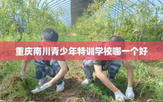 重庆南川青少年特训学校哪一个好