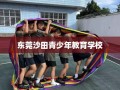 东莞沙田青少年教育学校