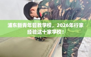 浦东新青年管教学校，2026年行家经验这十家学校！