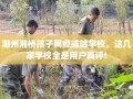 潮州湘桥孩子网瘾戒除学校，这几家学校全是用户真评!