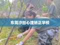 东莞沙田心理矫正学校