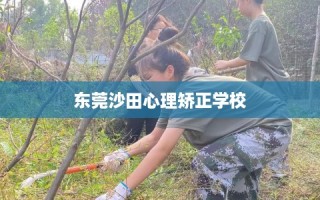 东莞沙田心理矫正学校