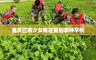 重庆巴南少女叛逆要到哪种学校