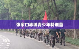 张家口赤城青少年特训营