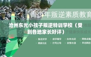 沧州东光小孩子叛逆特训学校（受到各地家长好评）